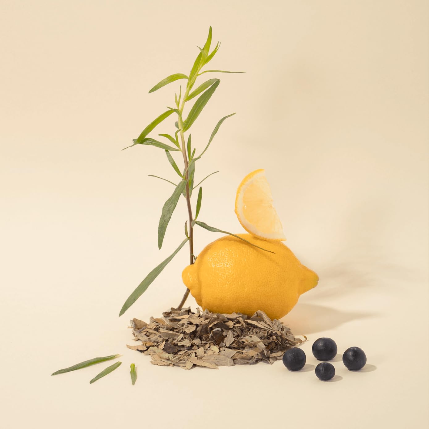 Compagnie de Provence Nourishing Hand Cream - Delicate 10 Fl Oz