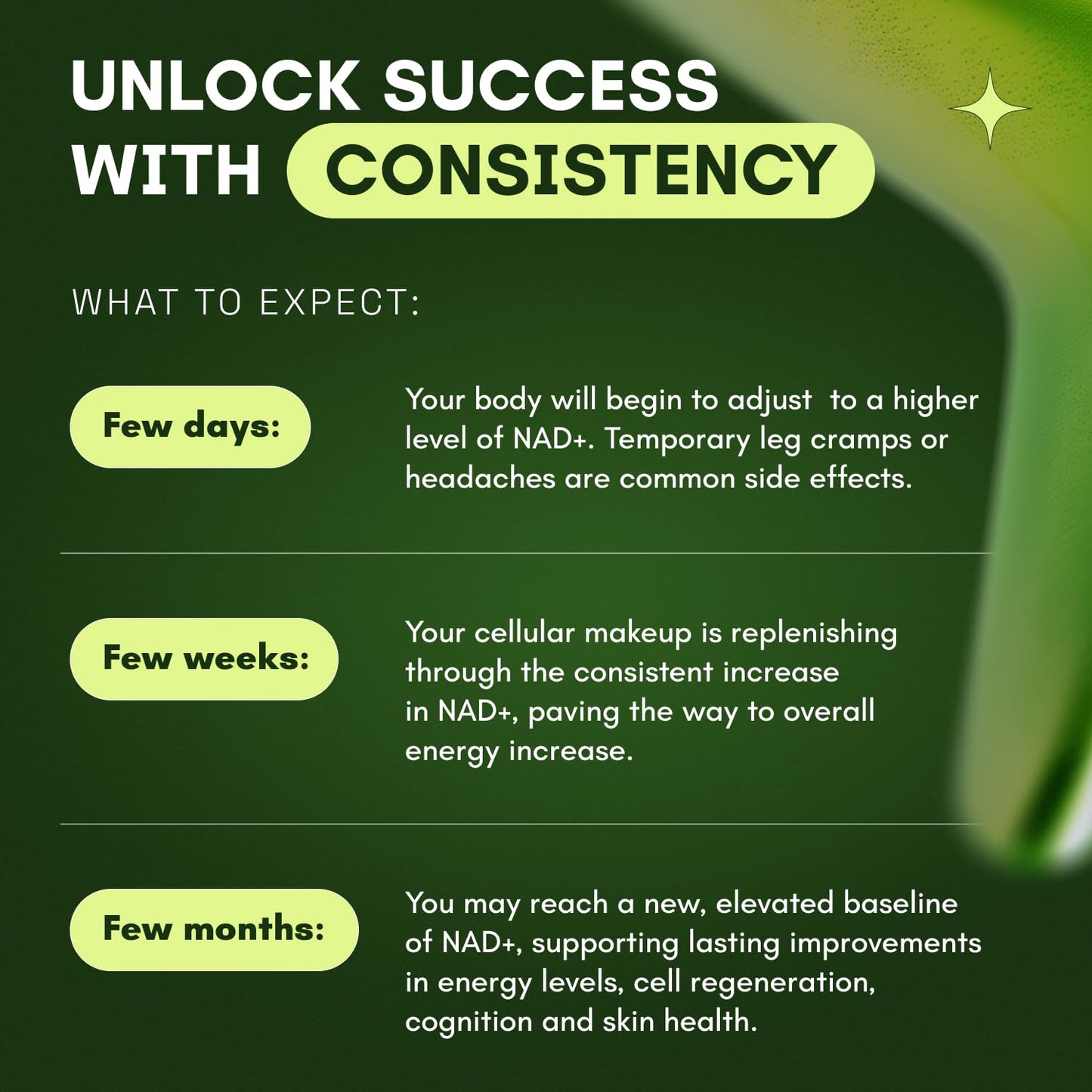 Cata-Kor Liposomal NAD + Advanced with Resveratrol – 60 Capsules