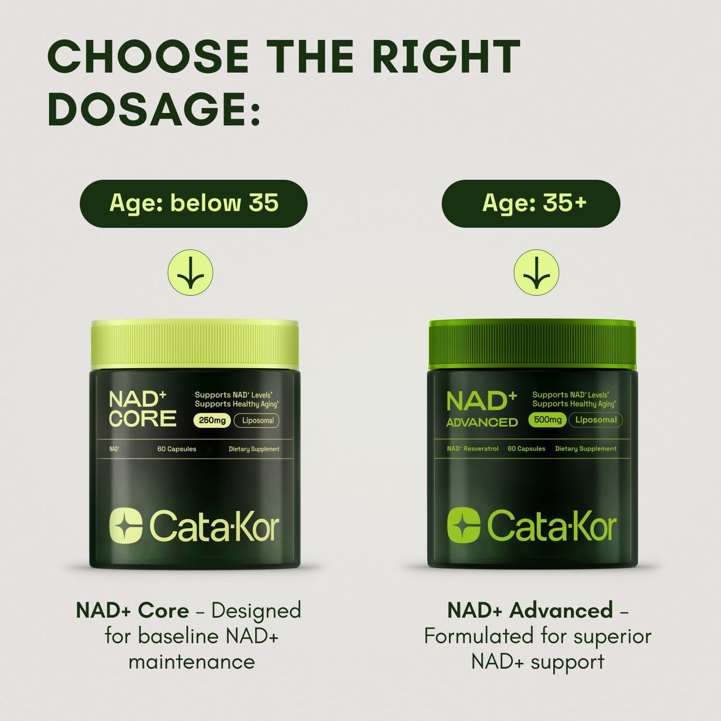 Cata-Kor Liposomal NAD + Advanced with Resveratrol – 60 Capsules